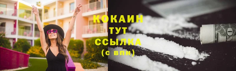 COCAIN FishScale  наркотики  Пудож 